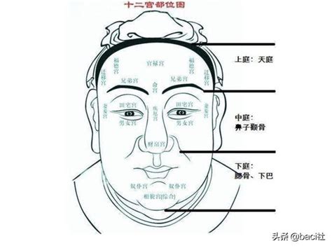 地閣潤意思|天庭飽滿為貴壽之相是真的嗎